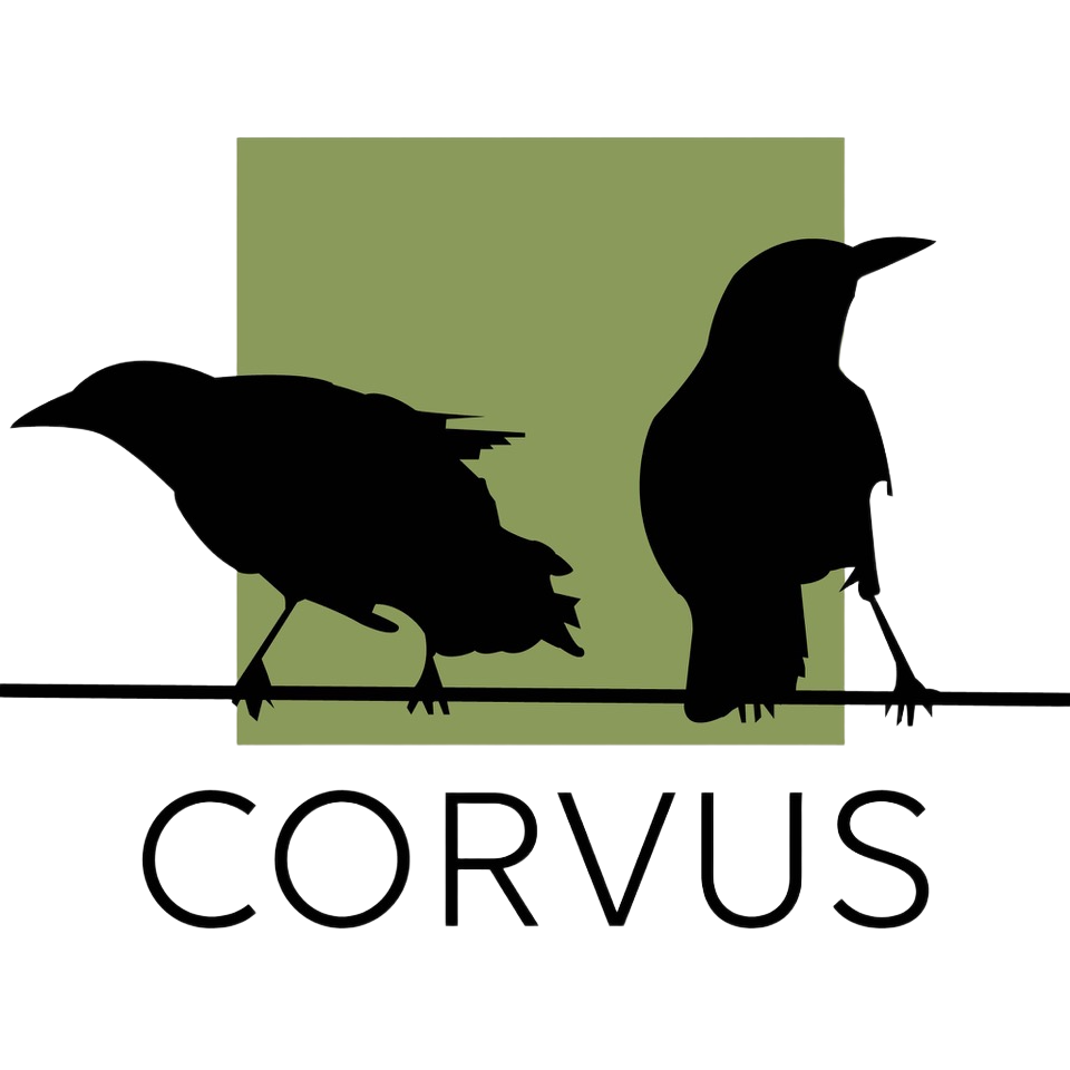 Corvus Consulting Inc.